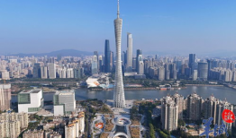 精品国产视频种子,探寻精品视频种子的魅力之旅